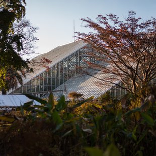 筑波実験植物園6