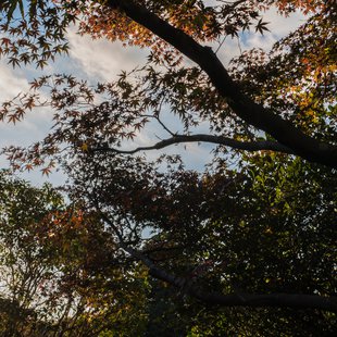 筑波実験植物園7