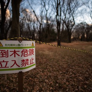 樹林公園(和光市)3