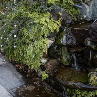 和光市、白子、熊野神社2