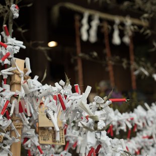 和光市、白子、熊野神社6