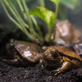 正月のサンシャイン水族館9