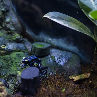 正月のサンシャイン水族館10