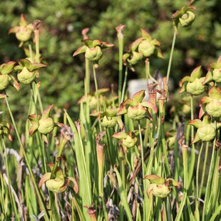 つくば、土浦10
