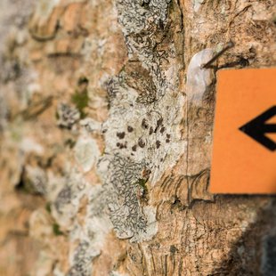 つくば、土浦11