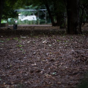 つくば、土浦14