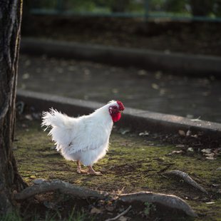 つくば、土浦16