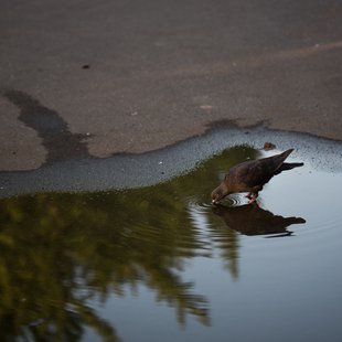 つくば、土浦17