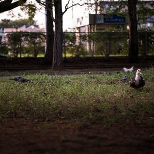 つくば、土浦21
