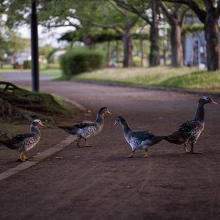 つくば、土浦22