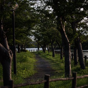 つくば、土浦23