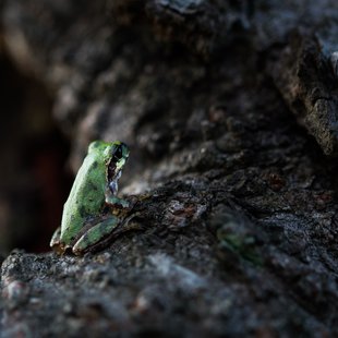 つくば、土浦24