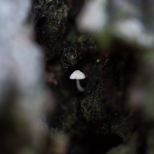 つくば、土浦25