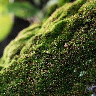 つくば、土浦26