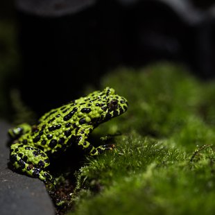 サンシャイン水族館1