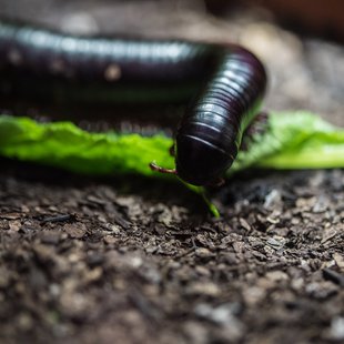 サンシャイン水族館2