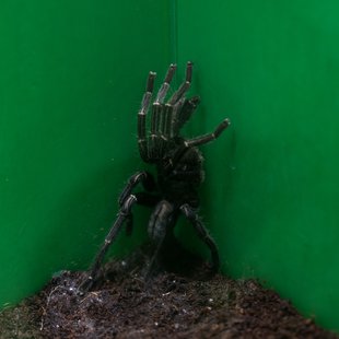 サンシャイン水族館4