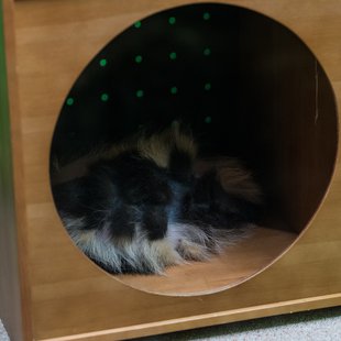 サンシャイン水族館5