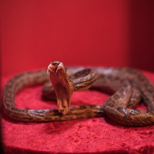 サンシャイン水族館7