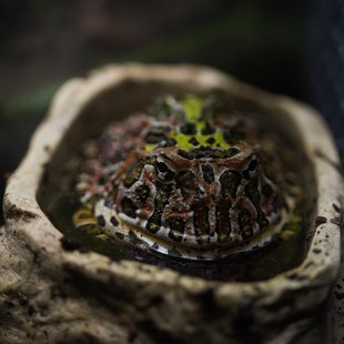 サンシャイン水族館15
