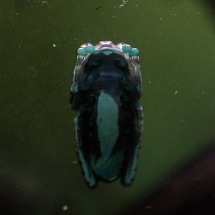 サンシャイン水族館16