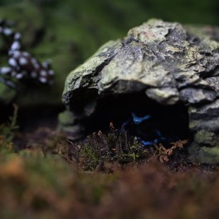 サンシャイン水族館17