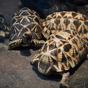 サンシャイン水族館19