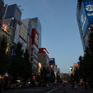 アメ横、秋葉原2