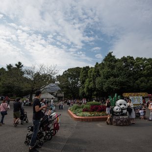 上野動物園、周辺、秋葉原1