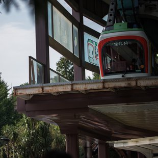 上野動物園、周辺、秋葉原4