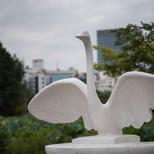 上野動物園、周辺、秋葉原11