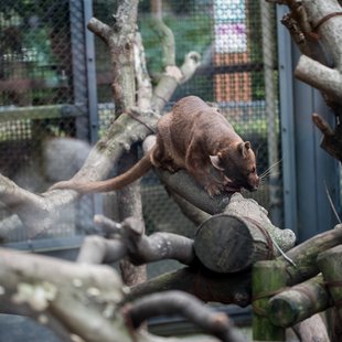 上野動物園、周辺、秋葉原13