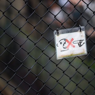 上野動物園、周辺、秋葉原14