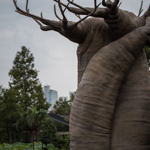 上野動物園、周辺、秋葉原23