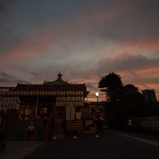 上野動物園、周辺、秋葉原24