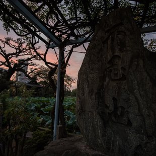 上野動物園、周辺、秋葉原25