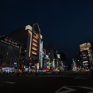 上野動物園、周辺、秋葉原27