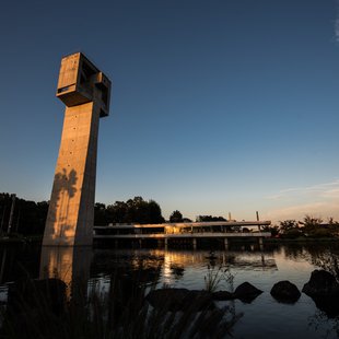 筑波実験植物園とその周辺42