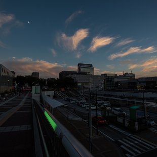 筑波実験植物園とその周辺43