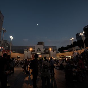 筑波実験植物園とその周辺44