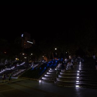 筑波実験植物園とその周辺45