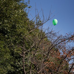 和光市民祭り12