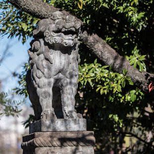 広尾、芝公園、アメ横、秋葉原など3