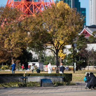 広尾、芝公園、アメ横、秋葉原など4