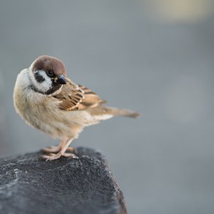 広尾、芝公園、アメ横、秋葉原など5