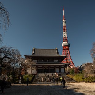 広尾、芝公園、アメ横、秋葉原など7