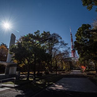 広尾、芝公園、アメ横、秋葉原など8