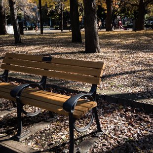 広尾、芝公園、アメ横、秋葉原など9