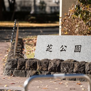 広尾、芝公園、アメ横、秋葉原など11