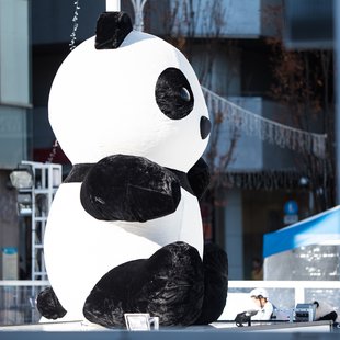 広尾、芝公園、アメ横、秋葉原など13